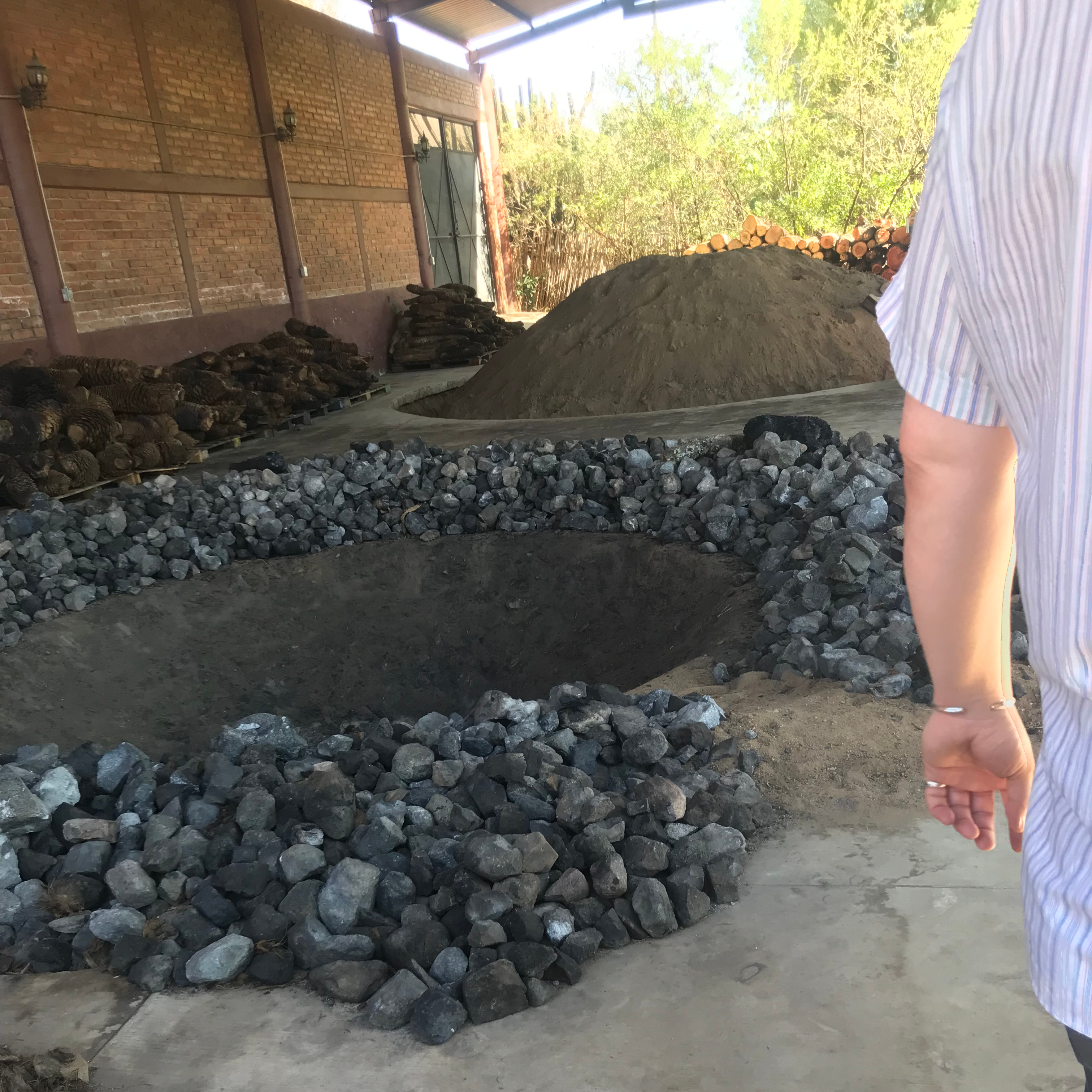 agave roasting pits
