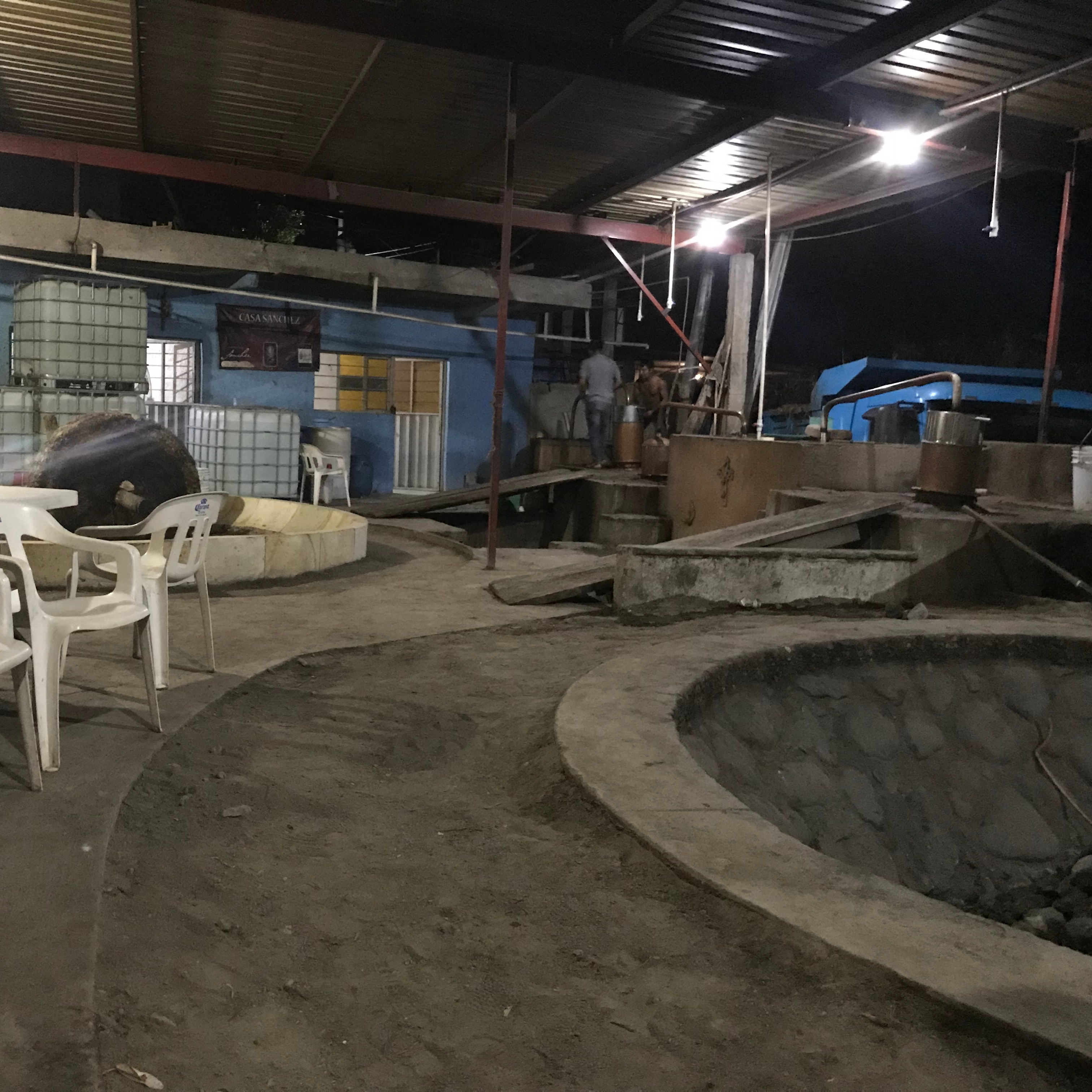 reycampero bottle against agave